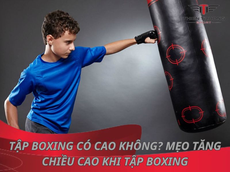 Giải đáp: Tập boxing có tăng chiều cao không?