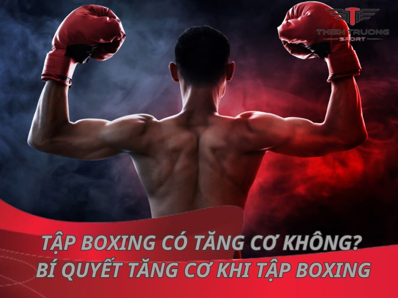 Tập boxing có tăng cơ không? Bí quyết tăng cơ khi tập boxing