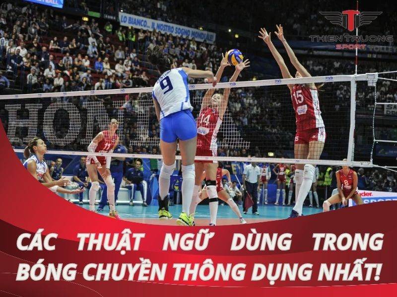 Biết tuốt các thuật ngữ dùng trong bóng chuyền thông dụng nhất!