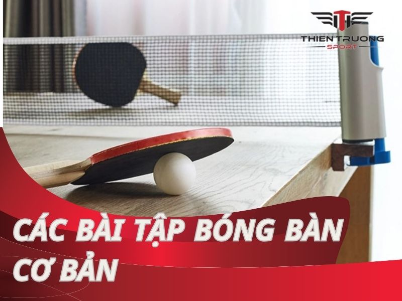 Các bài tập bóng bàn cơ bản: bí quyết nâng tầm kỹ thuật