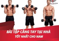 Các bài tập cẳng tay tại nhà hiệu quả tốt nhất cho nam