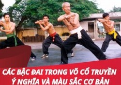 Các bậc đai trong võ cổ truyền ý nghĩa và màu sắc cơ bản