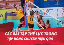 Các bài tập thể lực trong tập bóng chuyền hiệu quả