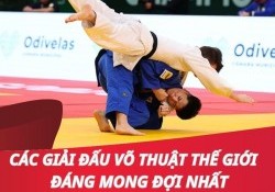 Top các giải đấu võ thuật thế giới đáng xem nhất