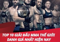 Top 10 giải đấu MMA thế giới danh giá nhất hiện nay