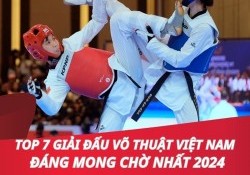 Top 7 giải đấu võ thuật Việt Nam hấp dẫn nhất 2024