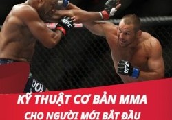 Những kỹ thuật cơ bản MMA cho người mới bắt đầu 