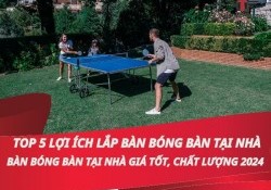 Top 5 lợi ích lắp bàn bóng bàn tại nhà Các mẫu bàn bóng tại nhà giá tốt, chất lượng 2024