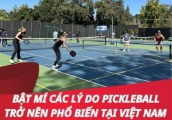 Bật mí các lý do Pickleball trở nên phổ biến