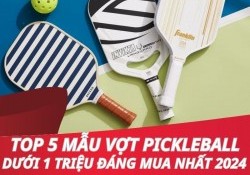 Top 5 mẫu vợt Pickleball dưới 1 triệu đáng mua nhất 2024