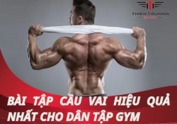 Các bài tập cầu vai tại nhà hiệu quả nhất dành cho dân tập Gym