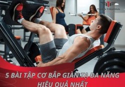 Mách bạn 5 bài tập cơ bắp giàn tạ đa năng hiệu quả nhất