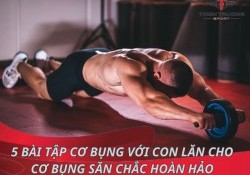 5 bài tập cơ bụng với con lăn cho cơ bụng săn chắc hoàn hảo 