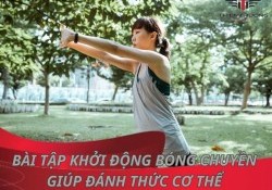 8 bài tập khởi động bóng chuyền giúp đánh thức cơ thể