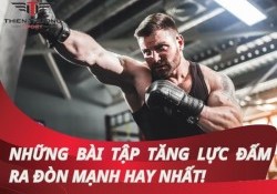 Tổng hợp 10+ bài tập tăng lực đấm ra đòn mạnh trong boxing