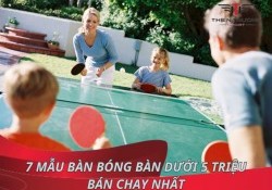 Tổng hợp 7 mẫu bàn bóng bàn dưới 5 triệu bán chạy nhất 