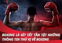 Boxing là gì? Tất tần tật những thông tin thú vị về boxing