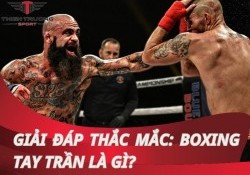 Boxing tay trần là gì? Có phải môn thể thao hoang dã, nguy hiểm?