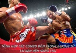 Tổng hợp 20+ các combo đòn trong boxing từ cơ bản đến nâng cao