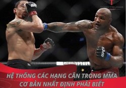 Các hạng cân trong MMA cơ bản nhất định phải biết 