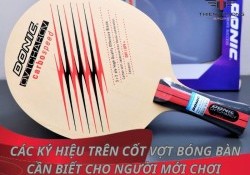 Các ký hiệu trên cốt vợt bóng bàn cần biết cho người mới chơi !