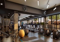 TOP 9 các máy tập chân trong phòng gym phổ biến, hiệu quả