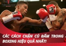 Hướng dẫn các cách chặn cú đấm trong boxing hiệu quả nhất!