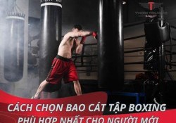 Cách chọn bao cát tập boxing phù hợp nhất cho người mới