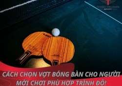 Cách chọn vợt bóng bàn cho người mới chơi phù hợp trình độ!