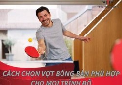 Cách chọn vợt bóng bàn phù hợp cho mọi trình độ