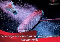 Cách chọn vợt cầu lông cho người mới chơi phù hợp nhất