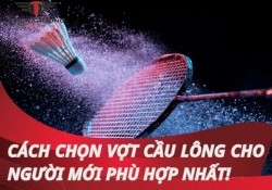 Cách chọn vợt cầu lông cho người mới tập chơi căn bản Nhất !