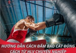 Hướng dẫn cách đấm bao cát đúng cách từ HLV chuyên nghiệp