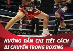 Hướng dẫn chi tiết cách di chuyển trong boxing cho người mới