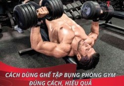 Hướng dẫn cách dùng ghế tập bụng phòng gym đúng cách, hiệu quả