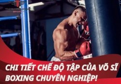 Khám phá chi tiết chế độ tập của võ sĩ boxing chuyên nghiệp!