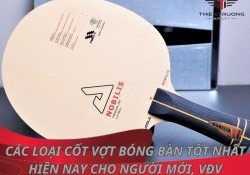 10+ cốt vợt bóng bàn tốt nhất hiện nay cho người mới và VĐV