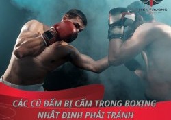  4 cú đấm bị cấm trong Boxing nhất định phải tránh