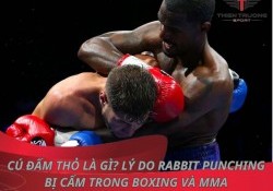 Cú đấm thỏ là gì? Lý do Rabbit Punching bị cấm trong Boxing và MMA