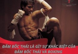 Đấm bốc thái là gì? Sự khác biệt của đấm bốc Thái và Boxing 