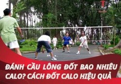 Bật mí: Đánh cầu lông đốt bao nhiêu calo? Cách đốt calo hiệu quả