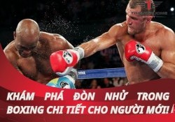 Tìm hiểu đòn nhử trong boxing cơ bản mọi võ sĩ cần biết