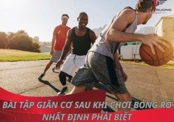 7 bài tập giãn cơ sau khi chơi bóng rổ nhất định phải biết