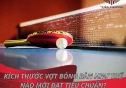 Kích thước vợt bóng bàn như thế nào mới đạt tiêu chuẩn?