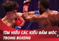 Các kiểu đấm móc trong boxing - nghệ thuật tấn công mạnh mẽ