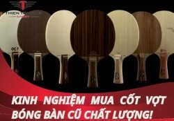 Mách bạn kinh nghiệm mua cốt vợt bóng bàn cũ chất lượng nhất!