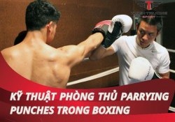 Tất tần tật về kỹ thuật phòng thủ Parrying Punches trong boxing