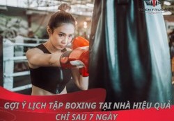 Gợi ý lịch tập boxing tại nhà hiệu quả nhất chỉ sau 7 ngày 