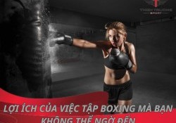 8 lợi ích của việc tập boxing mà bạn không thể ngờ đến