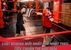 Luật boxing 2024 và những điều bạn cần biết